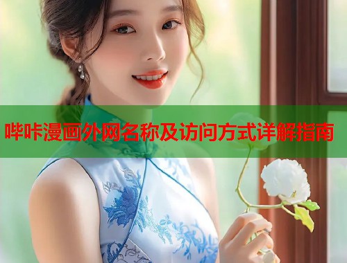 哔咔漫画外网名称及访问方式详解指南