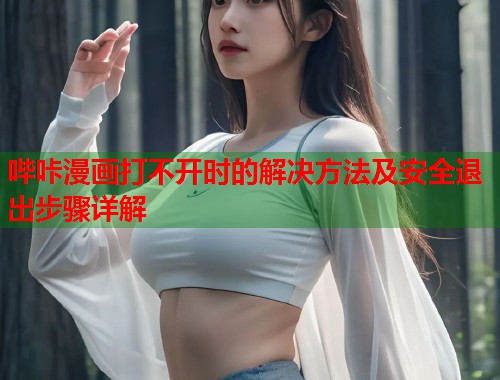 哔咔漫画打不开时的解决方法及安全退出步骤详解
