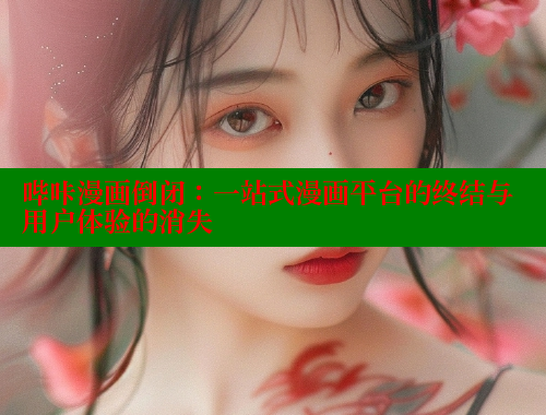 哔咔漫画倒闭：一站式漫画平台的终结与用户体验的消失 哔咔哔咔漫画 第2张