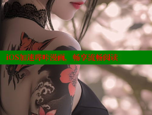 iOS加速哔咔漫画，畅享流畅阅读