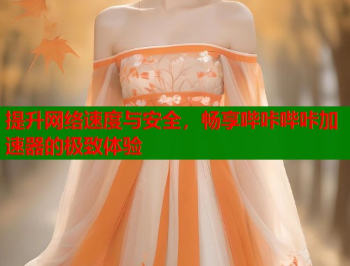 提升网络速度与安全，畅享哔咔哔咔加速器的极致体验  第2张