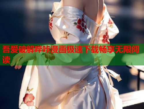 吾爱破解哔咔漫画极速下载畅享无限阅读  第2张