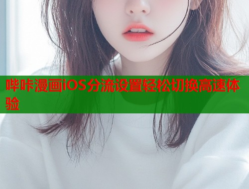 哔咔漫画iOS分流设置轻松切换高速体验