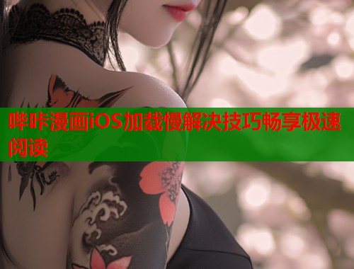 哔咔漫画iOS加载慢解决技巧畅享极速阅读