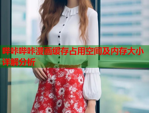 哔咔哔咔漫画缓存占用空间及内存大小详解分析