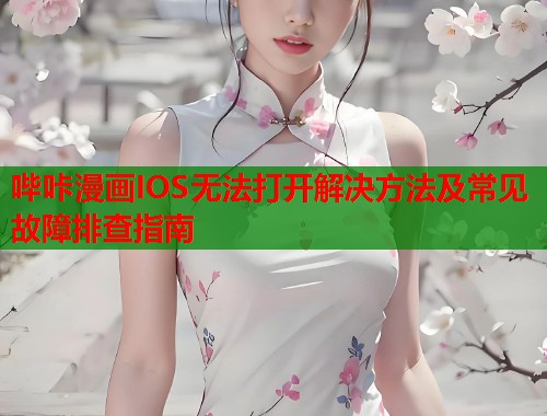 哔咔漫画IOS无法打开解决方法及常见故障排查指南