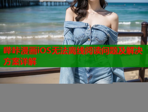 哔咔漫画iOS无法离线阅读问题及解决方案详解