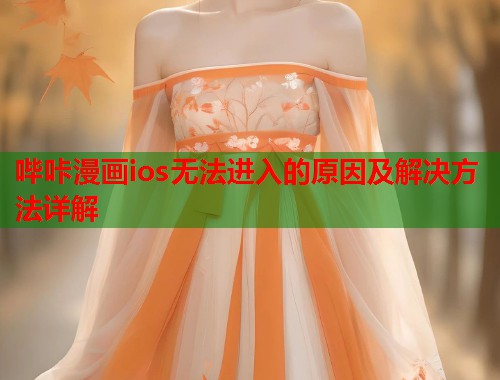 哔咔漫画ios无法进入的原因及解决方法详解