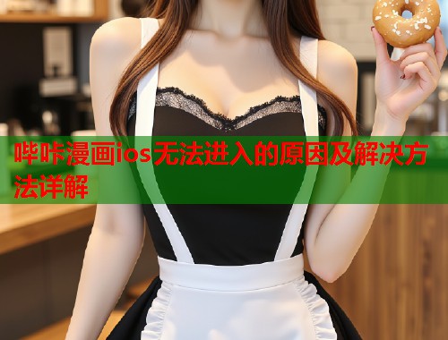 哔咔漫画ios无法进入的原因及解决方法详解  第2张
