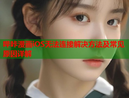 哔咔漫画iOS无法连接解决方法及常见原因详解