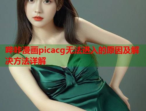 哔咔漫画picacg无法进入的原因及解决方法详解  第2张