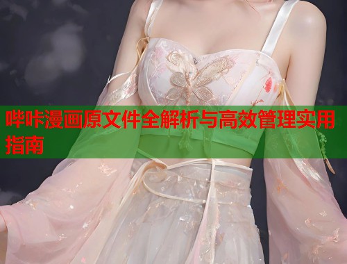 哔咔漫画原文件全解析与高效管理实用指南